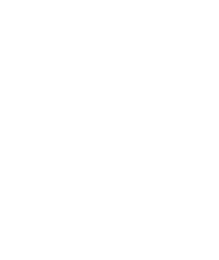 MOA Guns